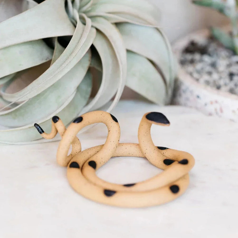 Carter + Rose Styles and Accessories Collection beige snake-embossed hoop earrings with black tips