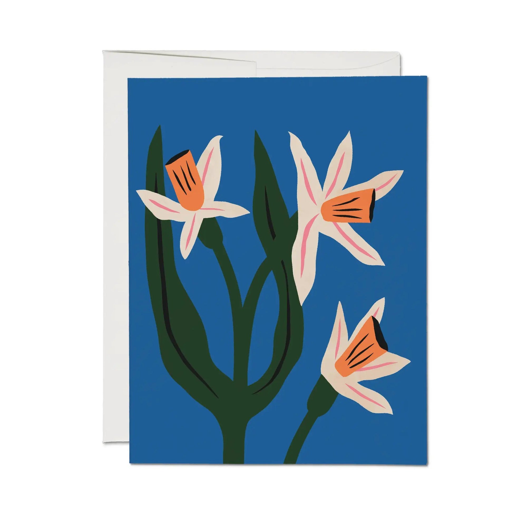 Blue Daffodils greeting card: Single by Red Cap Cards