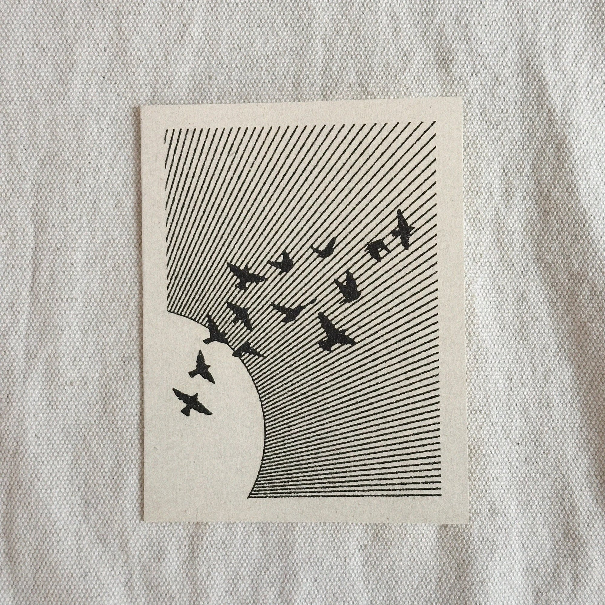 Red Cap Cards - Birds Blank by Red Cap Cards