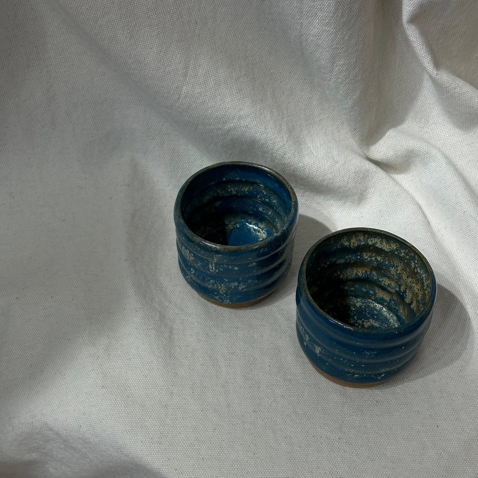 PL Blue Speckled Cups (Set of 2) by Above Snakes